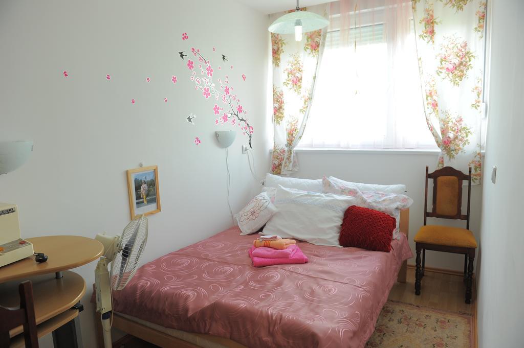 Apartment Daca Stan Belgrade Exterior photo