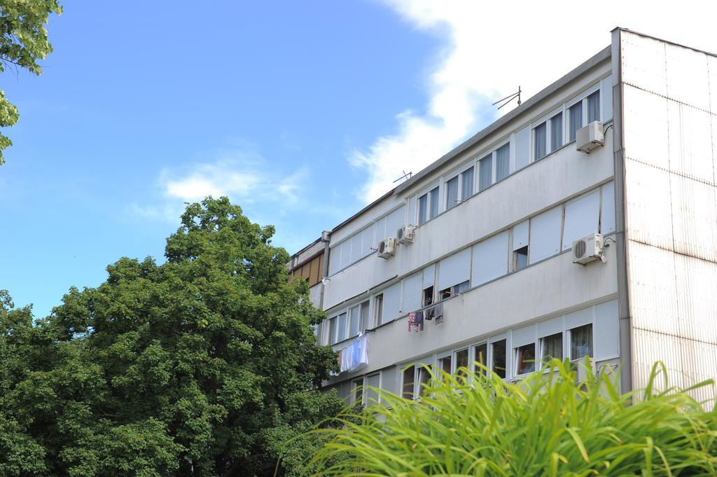 Apartment Daca Stan Belgrade Exterior photo
